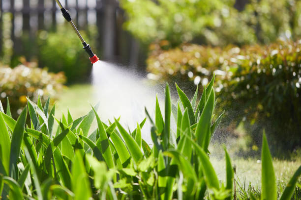 Tamper-Resistant Bait Stations for Rodents in South Alamo