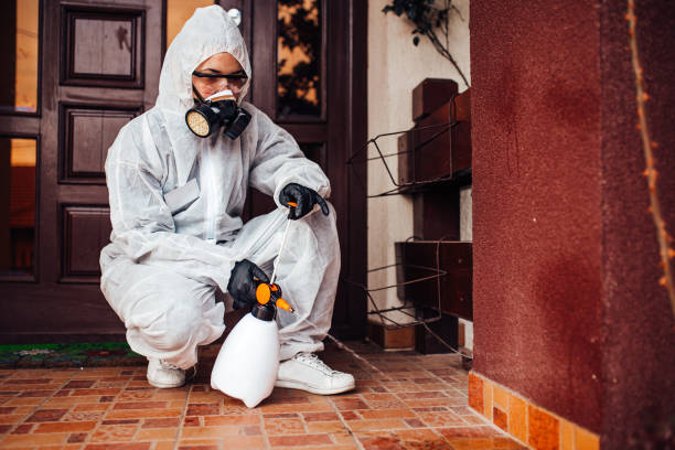 Attic and Crawl Space Rodent Treatment in South Alamo